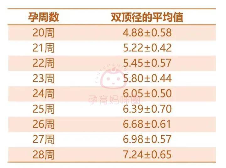 做三维,四维彩超需要注意什么?多少周做好?_检查_宝宝_胎儿