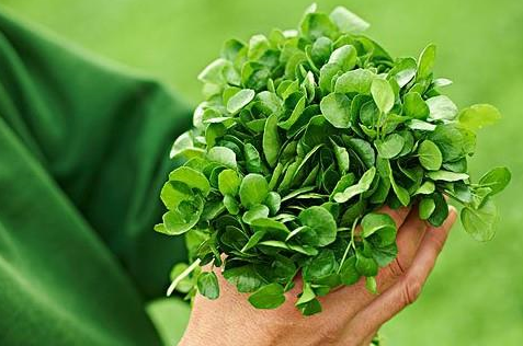 冷天，这汤做给产妇喝，滋***润燥温宫暖胃，提高免疫力，产妇爱喝(图1)