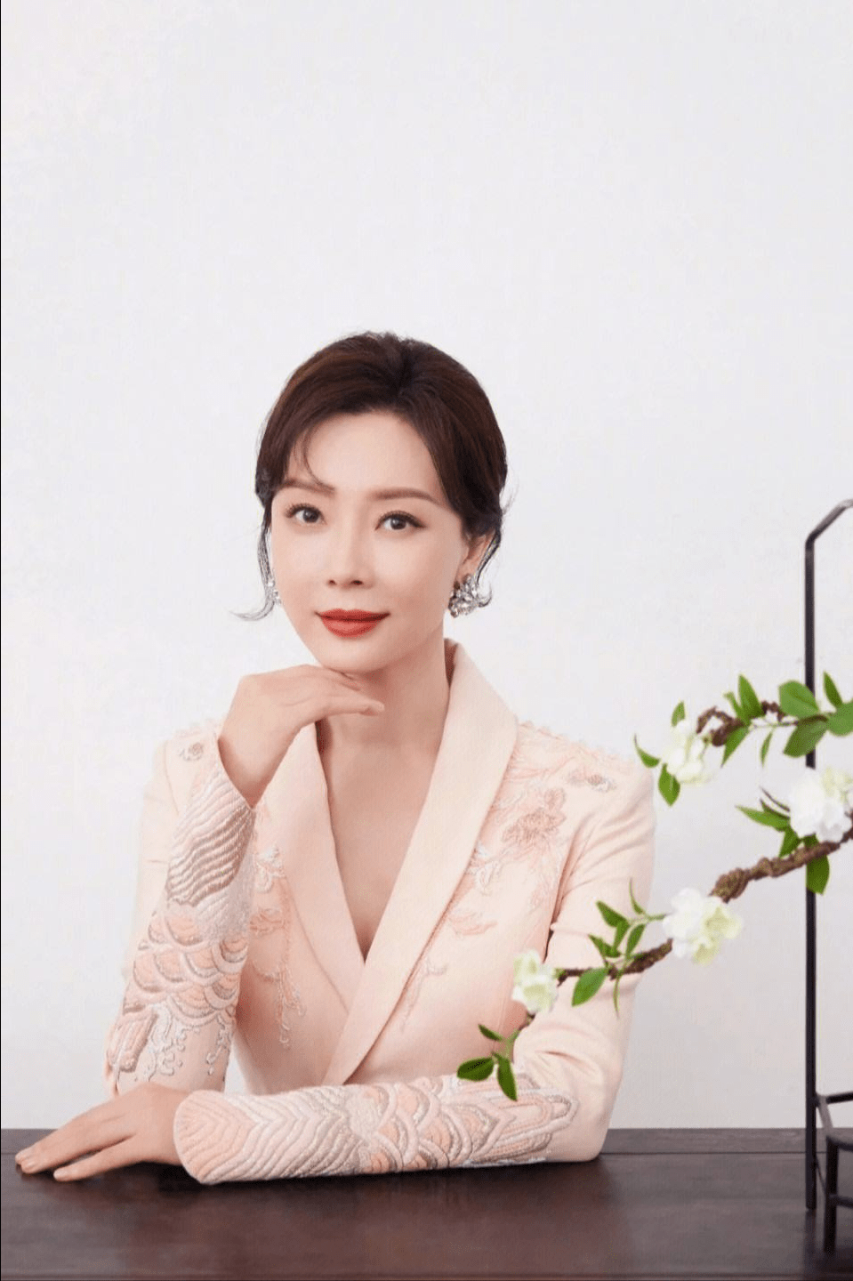"女神"陈数的过往_赵胤胤_时候_东方歌舞团