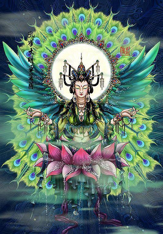 为何他从不离莲花台半步_孔雀_金莲_释迦牟尼