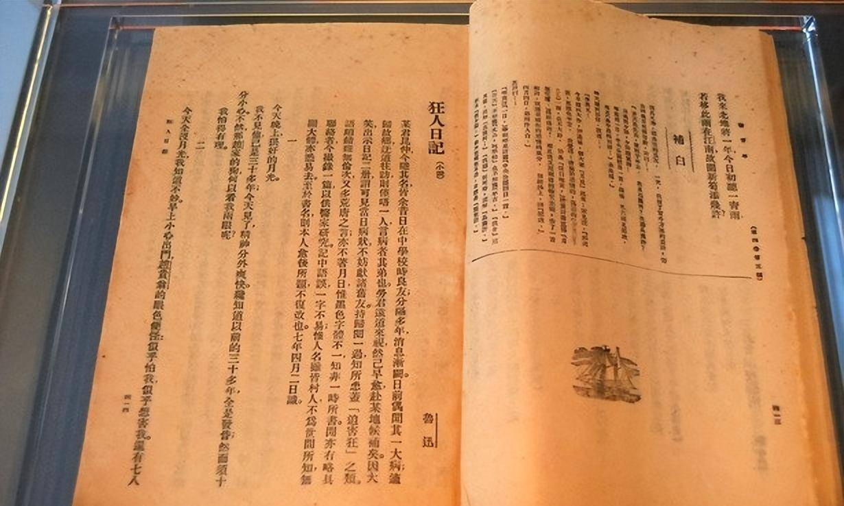 魯迅為啥逐漸被移出教科書?被批不是文學家,原因有三_社會_中國_文章