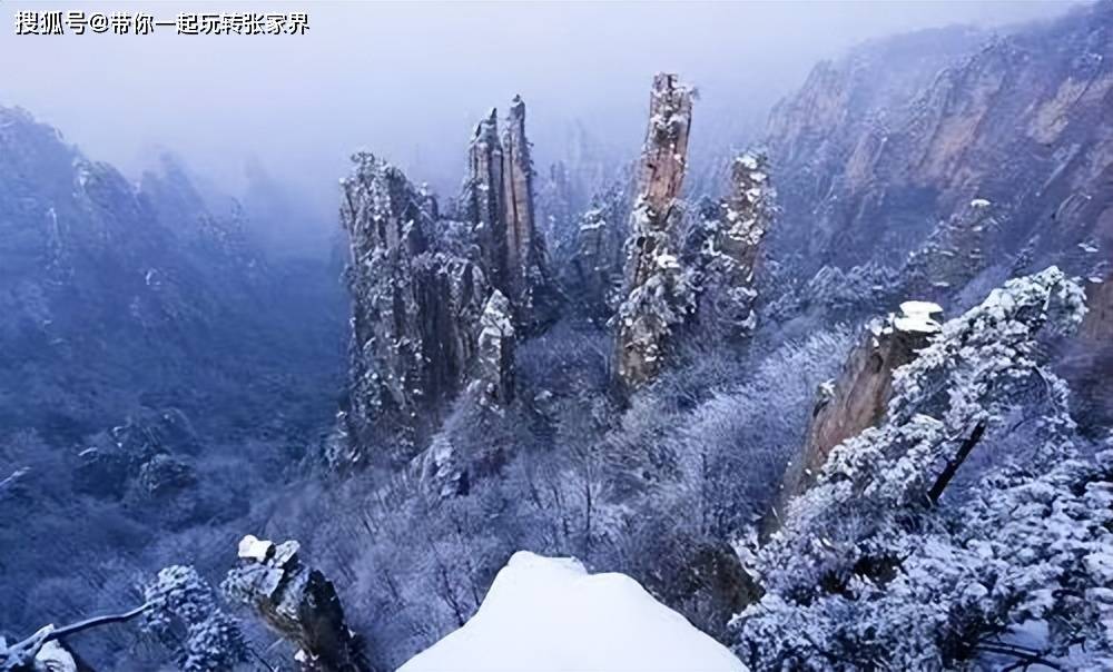 春節去張家界看雪攻略,張家界5日遊_旅遊_小時_景區