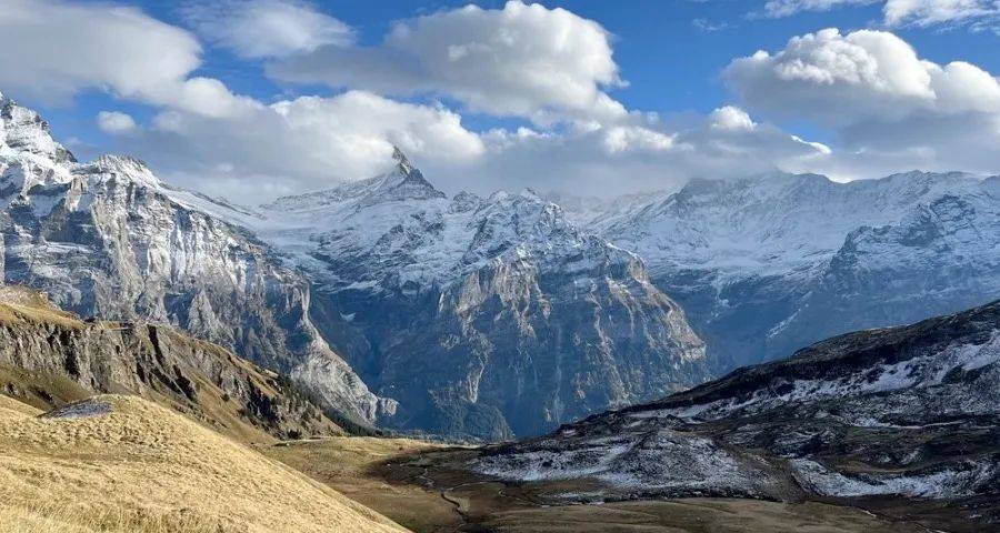 家电专卖店的生存机会与未来活路-家电圈官网