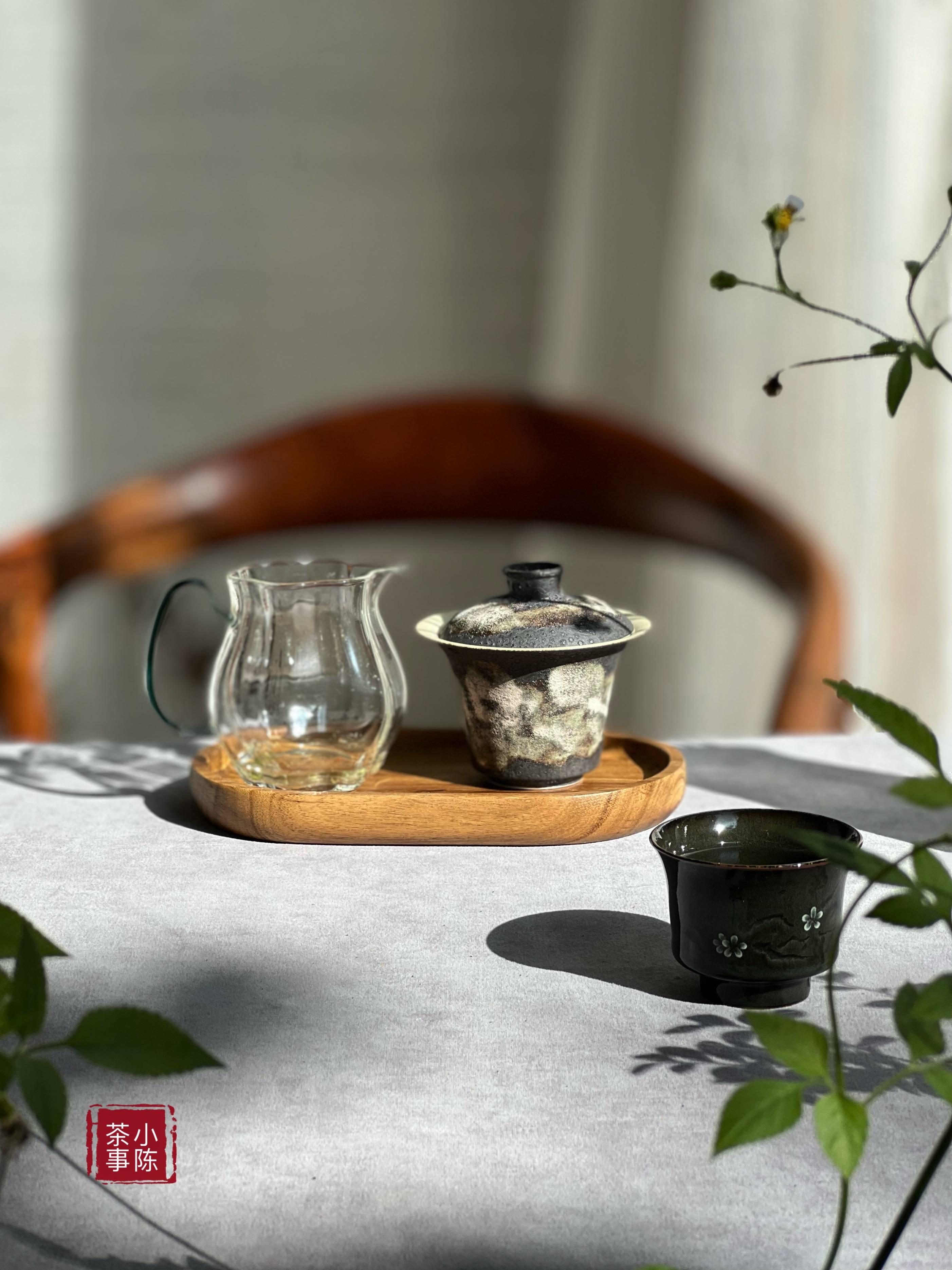 6点原因一次说清,花钱也要花得明明白白_茶树_时间_养分