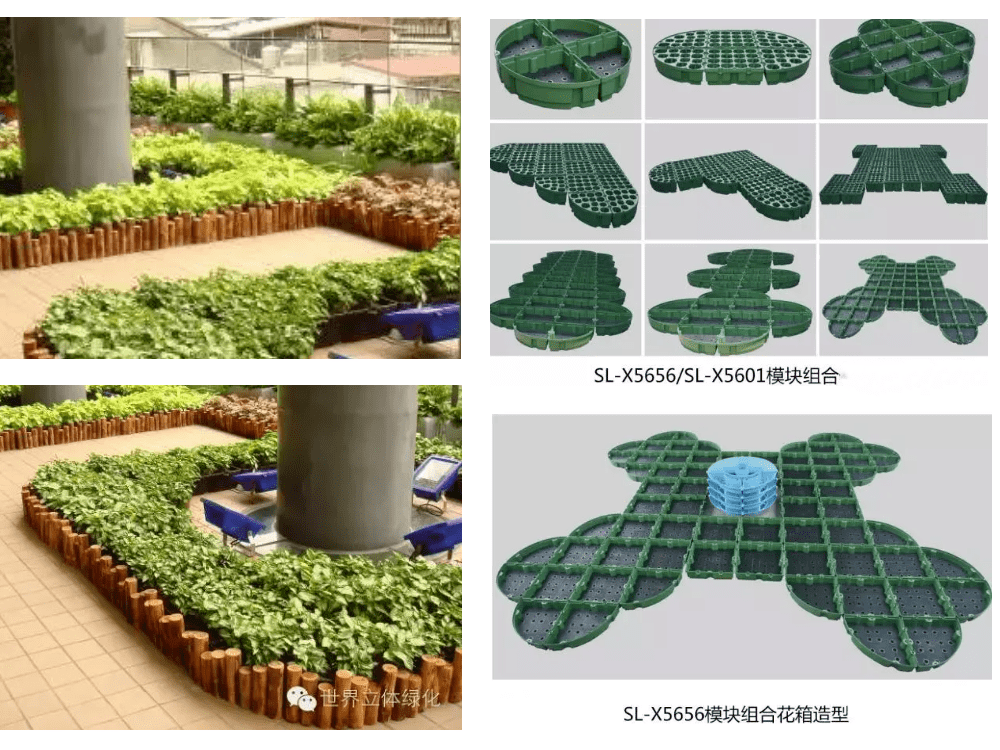 花園城市 | 上房