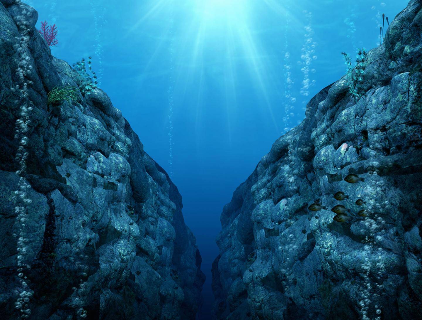 潜入万多米深海，科学家意外发现了什么秘密？