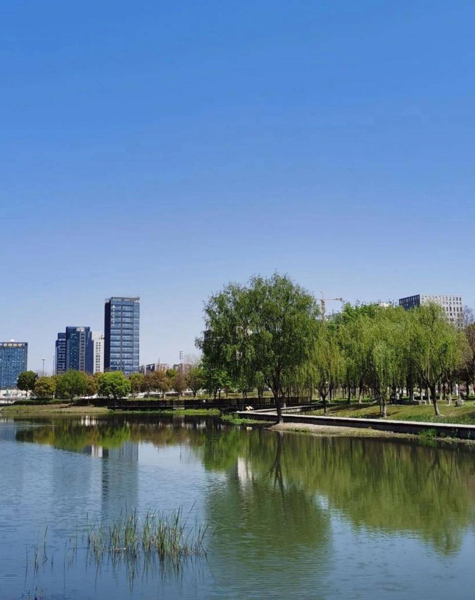 上海嘉定紫气东来公园吸引各地游客沉醉_城市_草坪_文化