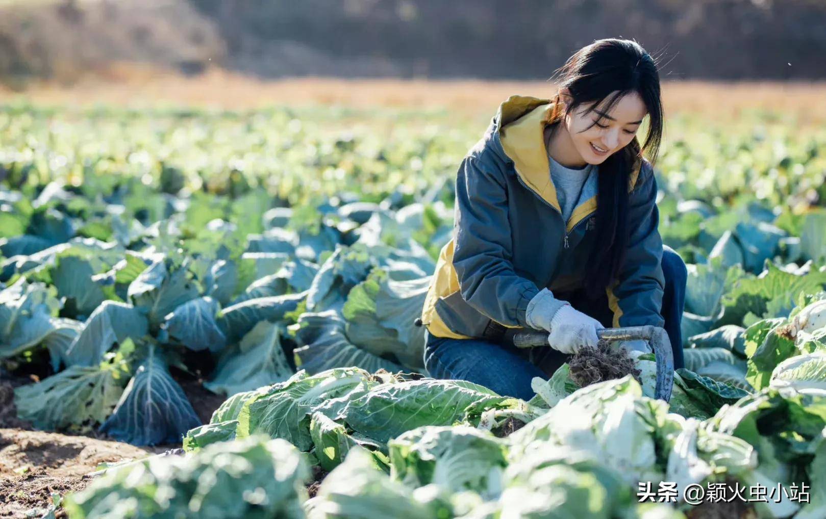 央视捧赵丽颖的原因找到了!