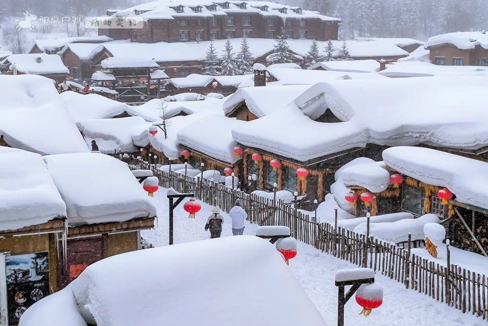 黑龙江农村雪景图片