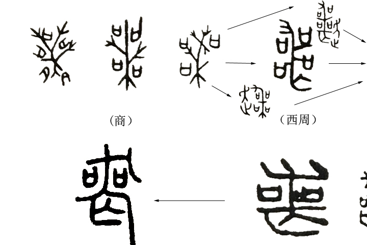 《說文解字》第191課:細說