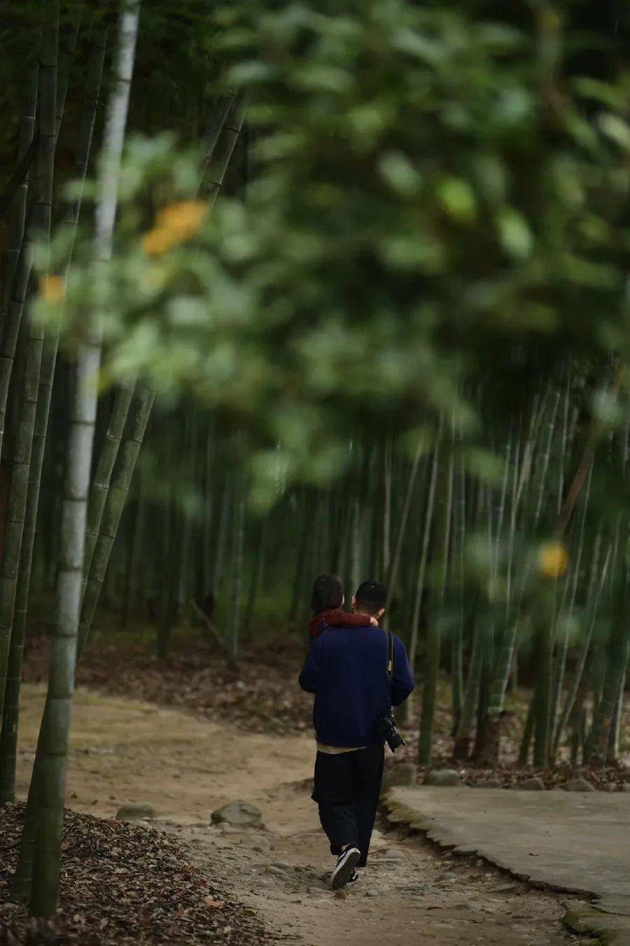 冬日三補:天補,地補,人補_太陽_養生_大樹