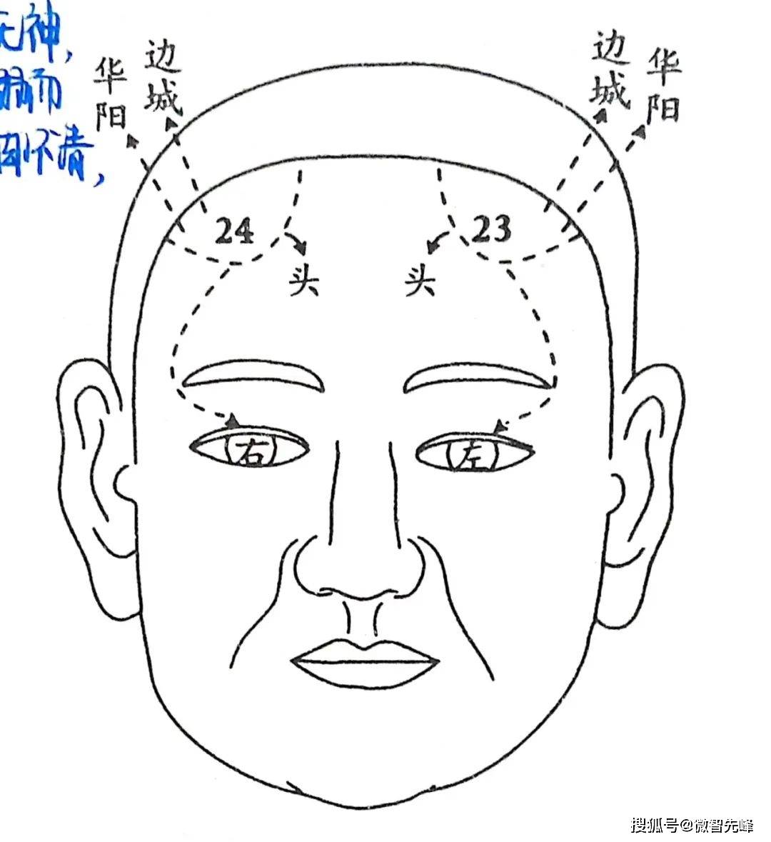 辅角骨面相图解图片