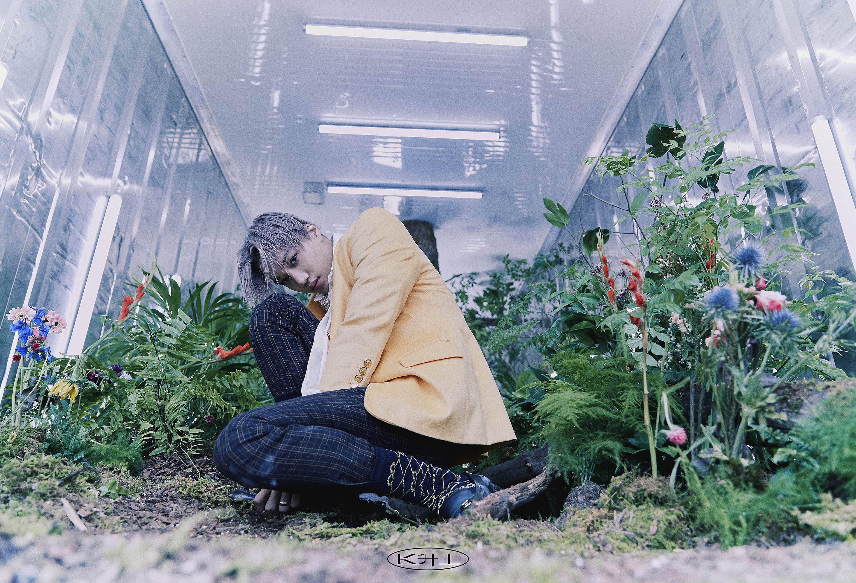 exo成员kai新专辑主打曲mmmhmv预告片今天中午11点惊喜公开