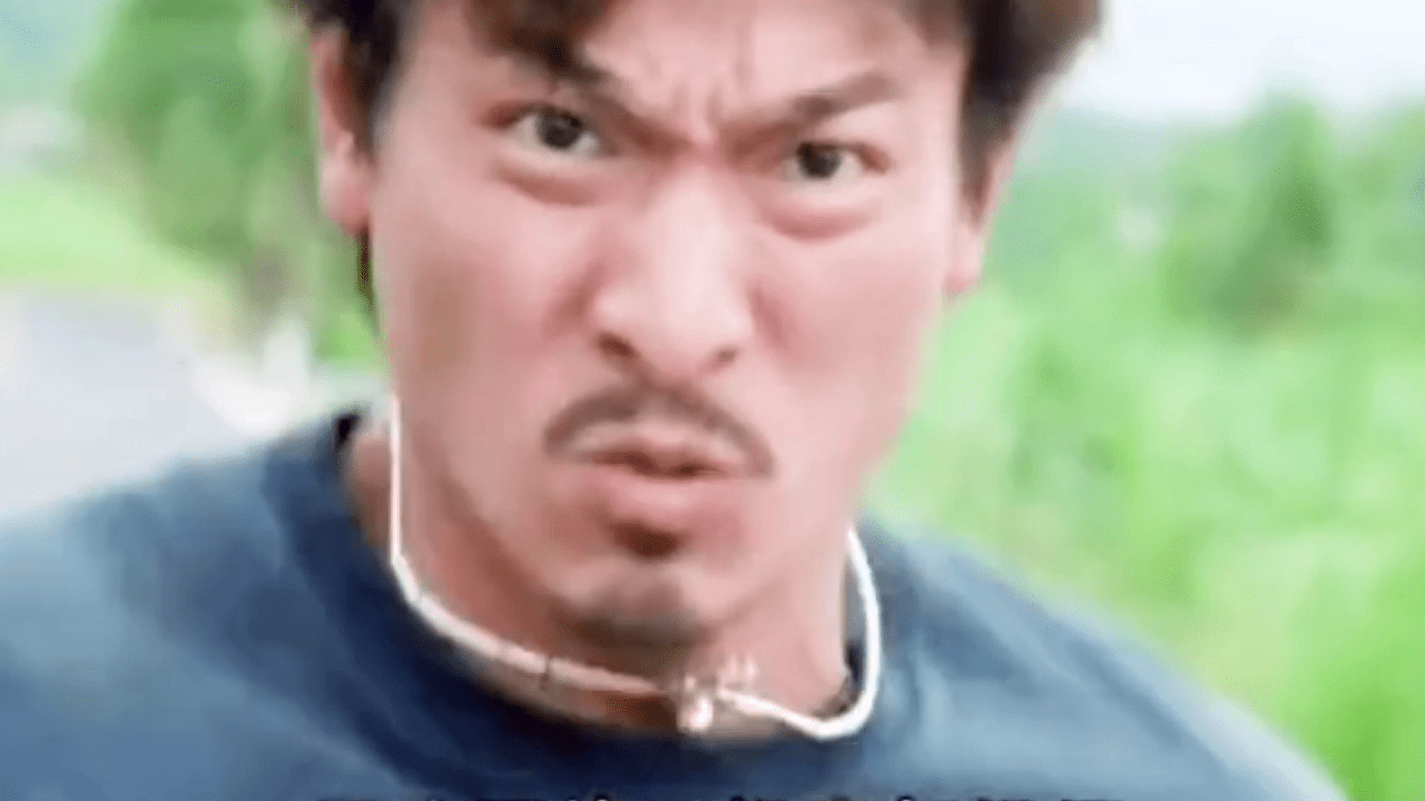 刘德华|刘德华精彩演绎啊虎