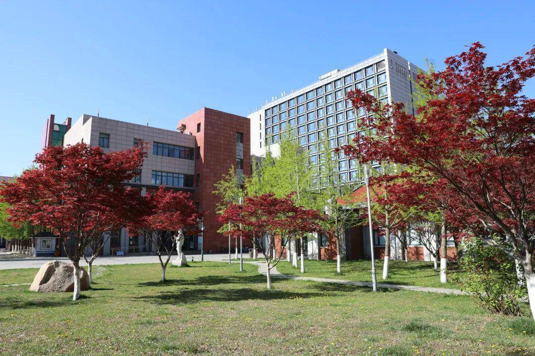 关于返校事宜致同学们的一封信
