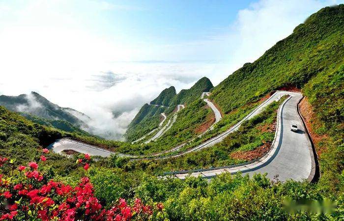 秀山川河盖上榜重庆最美高山杜鹃花观赏地图周末来一场花的艳遇吧