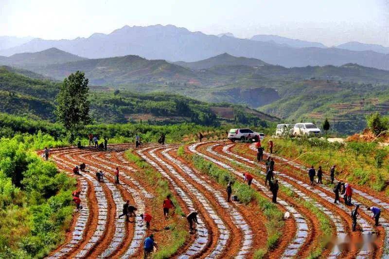 今天阳壶古道迎来一批特殊的客人