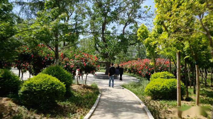 涉县西岗公园初夏新晋打卡网红地!