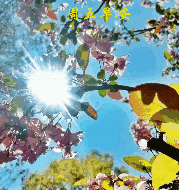 愿你在这个美好的日子里开心快乐幸福甜蜜周五愉快早安