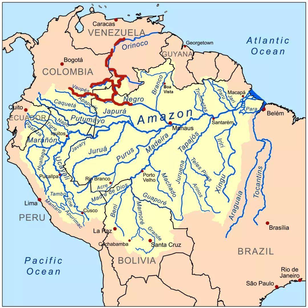 分布:主要分布于亚马逊流域巴西的尼格罗河(rio negro)中上游如ríos