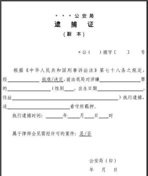 法院逮捕令样本图图片