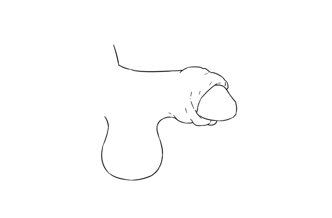 小丁丁画成大象鼻子图片