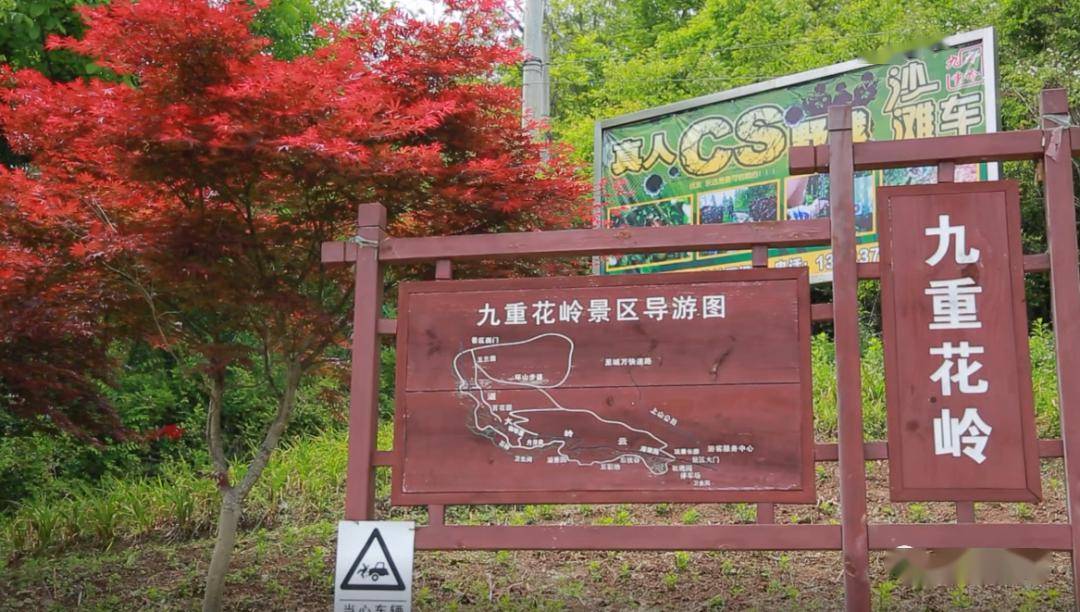 站在万源八台山和城口的分界线上,向东望去,对面便是城口县九重山国家