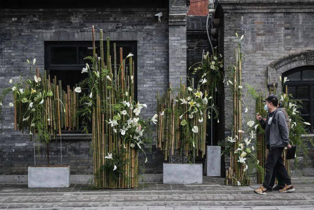 美极了!张氏帅府博物馆有花植艺术展