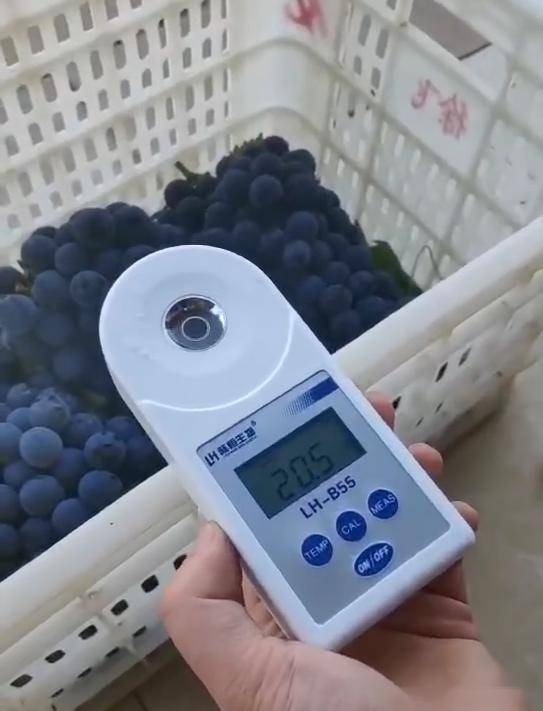 在打包前,对当天批次葡萄进行污染物检测,糖度检测;在打包过程中,企业