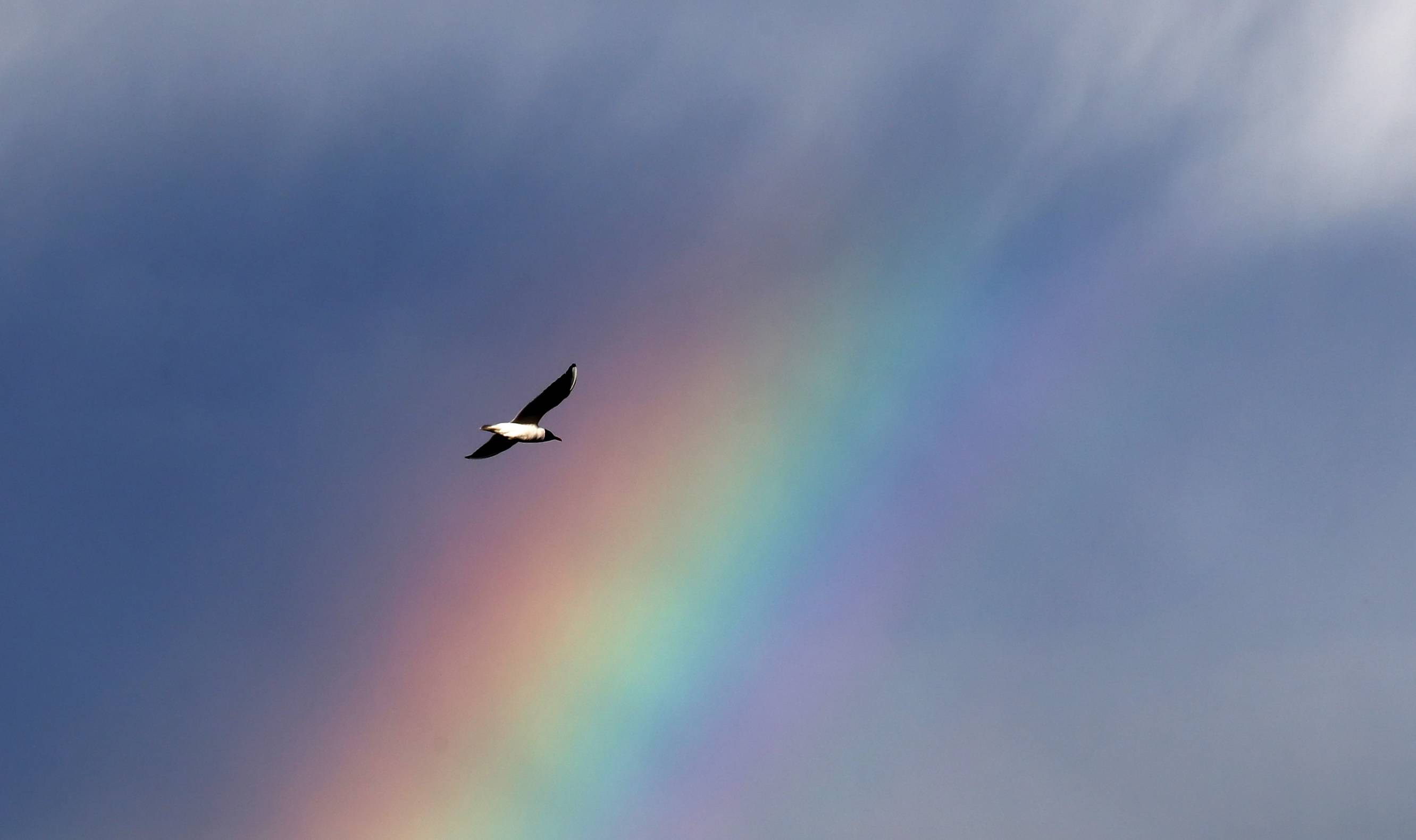 新华社/欧新这是5月17日在俄罗斯莫斯科拍摄的彩虹.