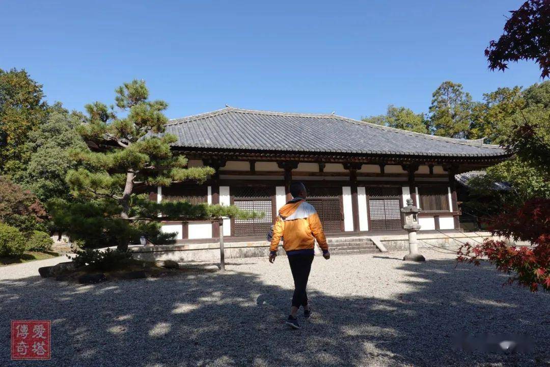 11.20,奈良般若寺 2019.11.20,奈良元明天皇陵 2019.11.