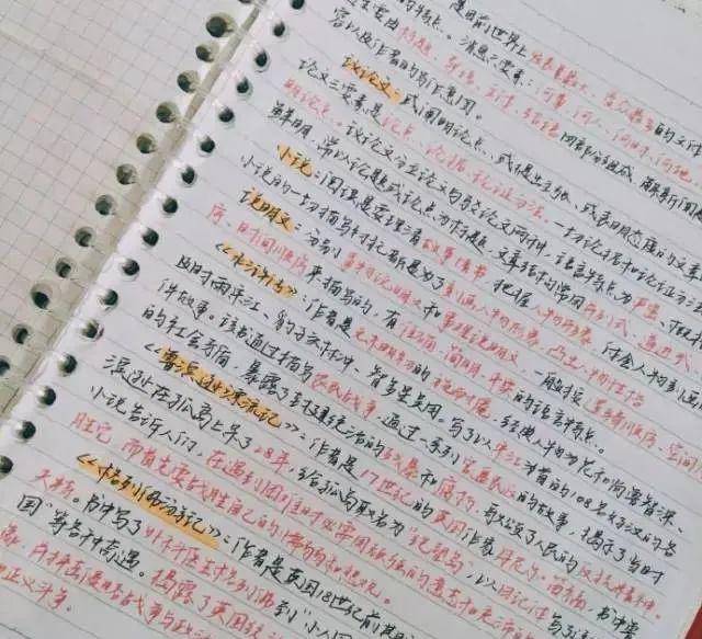 这是语文这是历史还有彩色配图精美英文版这是生物来看看她的笔记原因