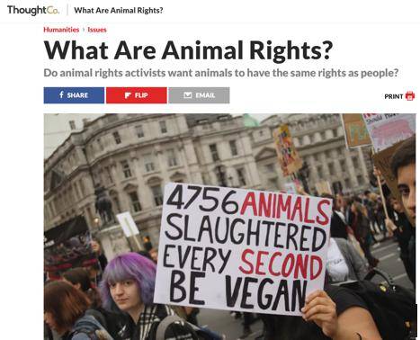 《新视野》教学素材专栏（15）| 读写教程2 Unit8 Human rights vs. animal rights_动物