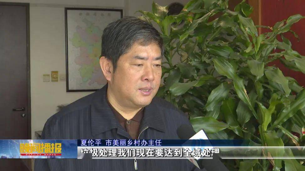 定了合肥的乡村就要这么美