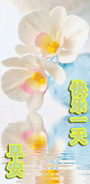 300_614竖版 竖屏gif 动态图 动图