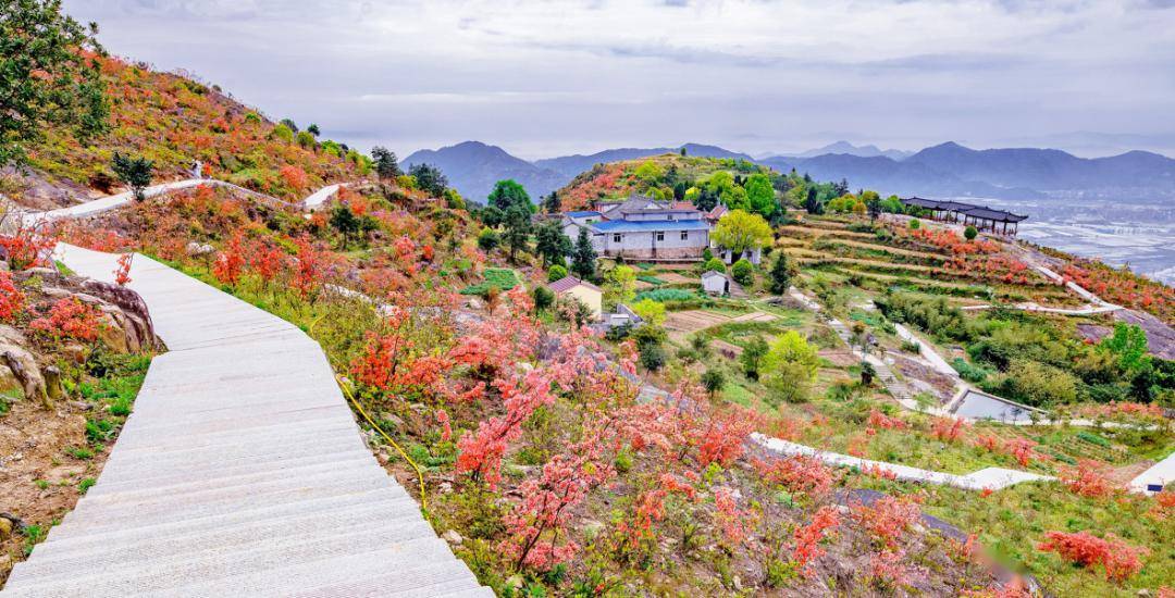 大荆下山头村景区图片