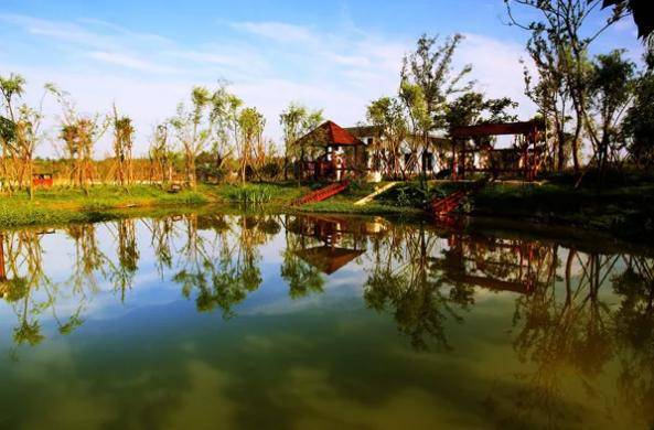 2020年南京旅游景色台城淳化百果园达摩古洞马场山