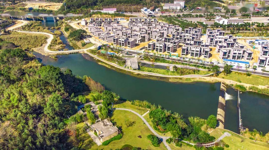 久居上海的他,为什么把基地搬到了桂湖?_福州