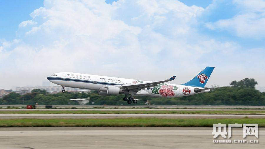 通讯员南宣)5月20日,一架身披荔枝特色涂装的南航a330客机从广州白云