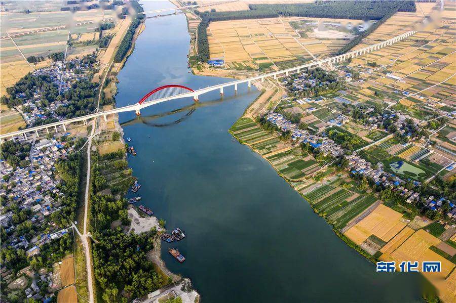 新华网航拍淮河岸上风吹麦浪
