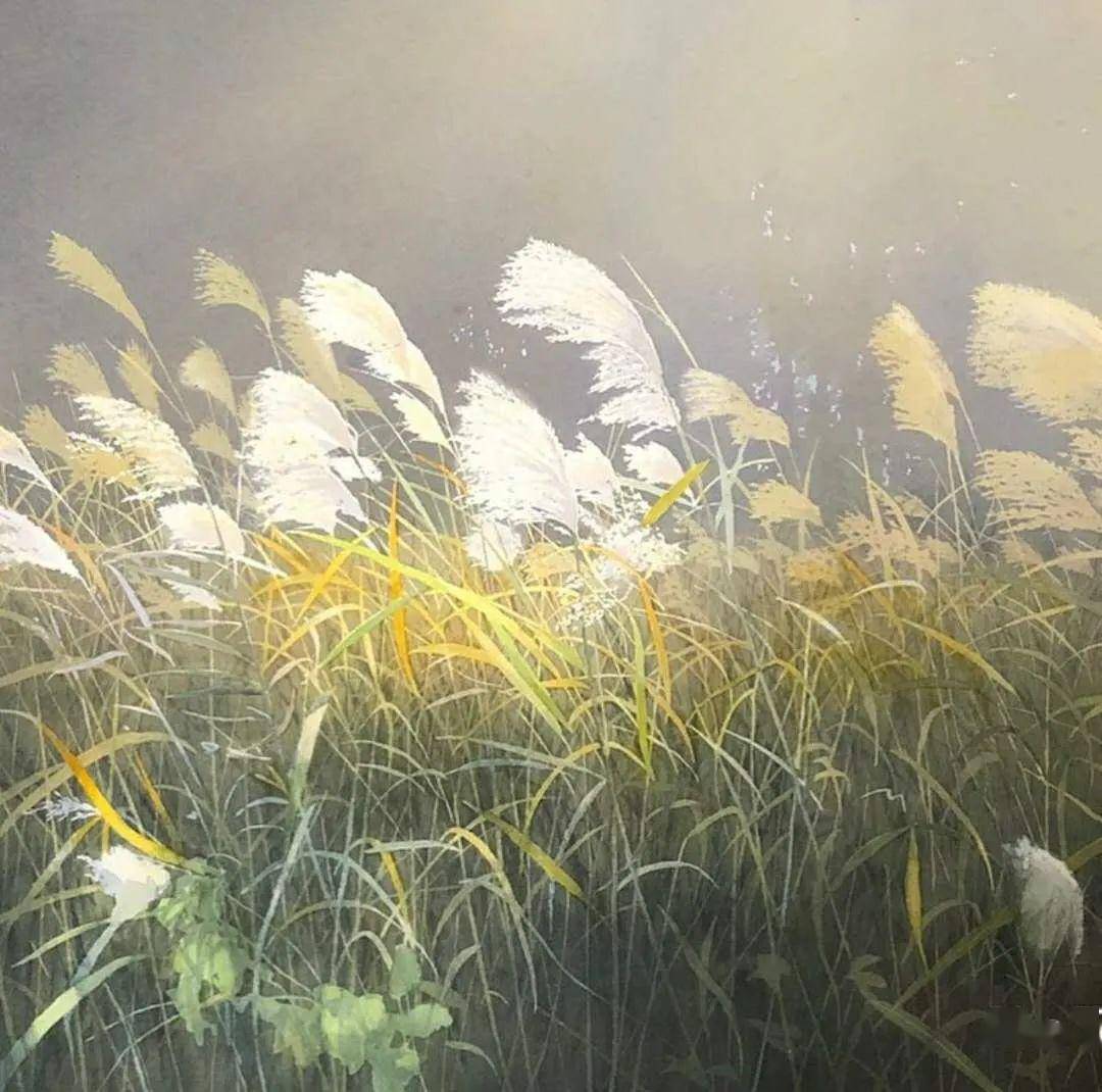 能弹奏阳光的画家