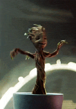 包头人,你注意到了吗?