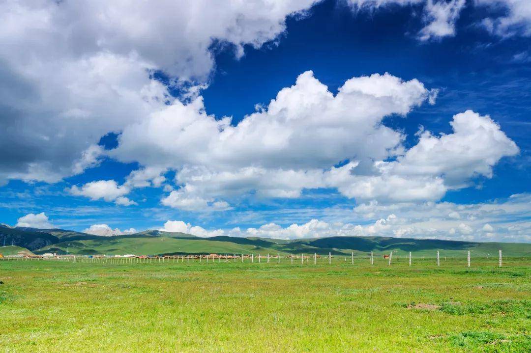 甘南!甘南!_草原