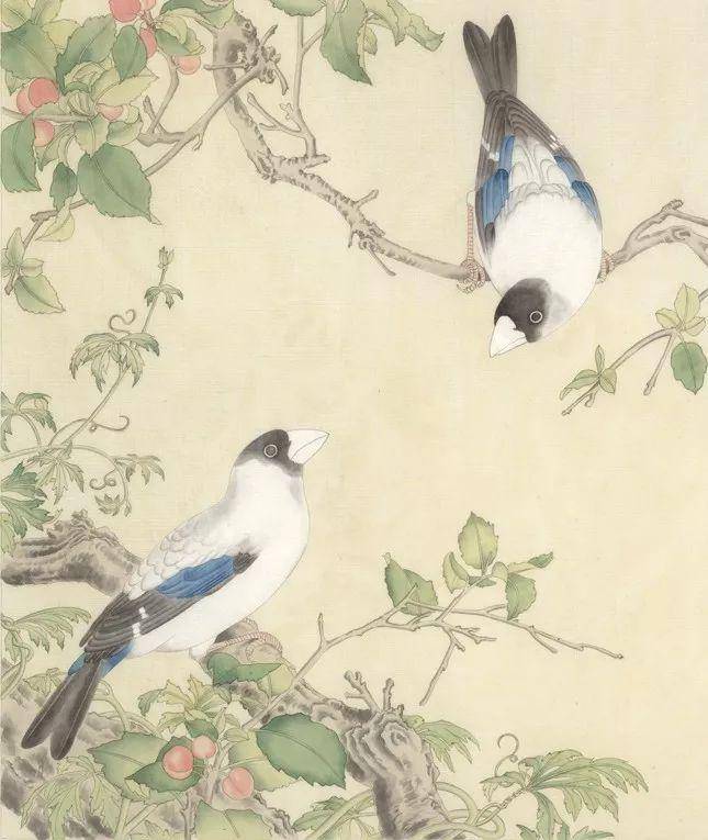 树枝:用焦茶加淡墨平涂.樱桃:用朱磦加藤黄平涂.