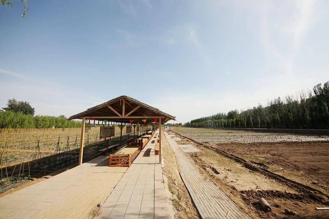 兴庆区大新村藏着一曲塞上牧歌