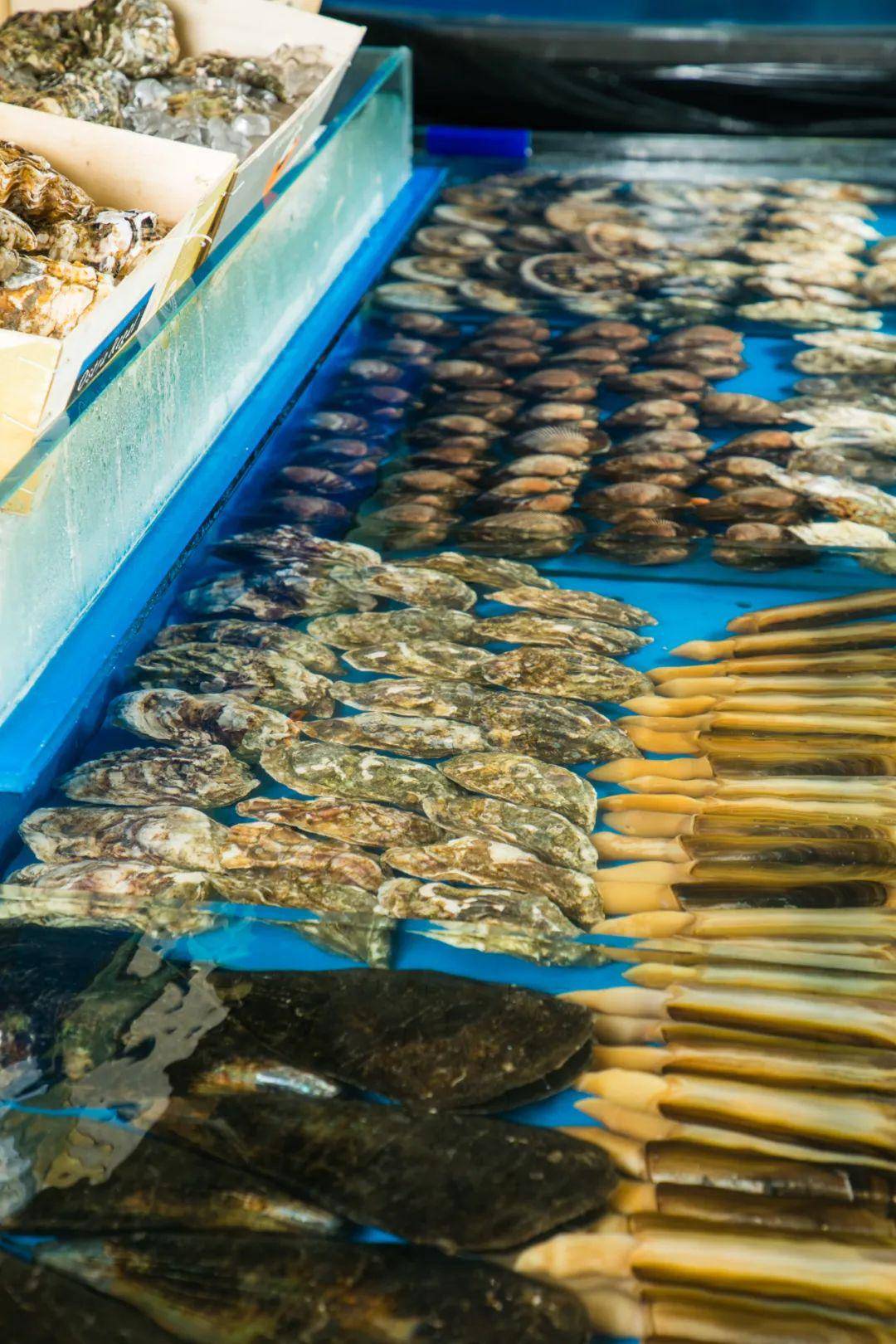 鮮活的樣子像是一秒穿越到了水族館,海鮮品類豐富隨意挑!