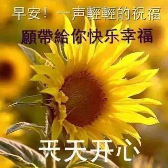 夏天早晨溫馨問候早安祝福語文字短信,走心早上好慰問語祝福圖片