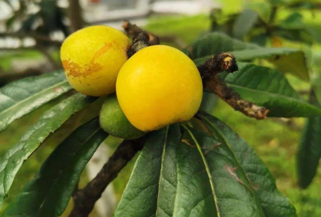 中国石阡佛顶山温泉小镇水乐园5月30日盛大开园限时99元抢门票邀您一