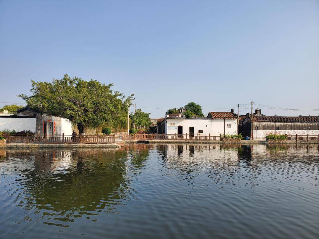 美丽新乡村-潮南区东华村,丹樱生态园中海黄金海岸生活艺术馆一天之旅