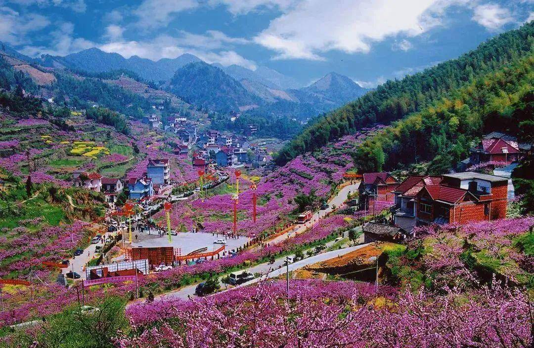 晒承诺比业绩争先进③新登镇半山村